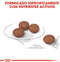Royal Canin Digestive Care Mini - Hondenvoer - 1 kg