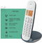 Logicom - ILOA 150 - Huistelefoon Draadloos - zonder antwoordapparaat - 1 Handset - Met Speaker - Dect-telefoon - Ardoise