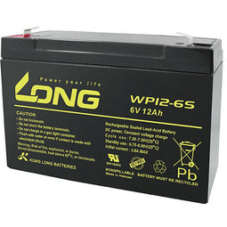 Long WP12-6S Loodaccu 1 stuk(s)