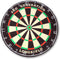 Longfield Professioneel Dartbord