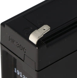 Loodzuurbatterij geschikt voor Kirsch bloedbank koelkasten BL520