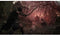 Lords Of The Fallen - PS5-game
