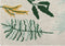 Lorena Canals - Vloerkleed - Botanic Plants - 140 x 200 cm