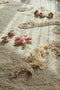 Lorena Canals Wasbaar katoen vloerkleed met accessoires - Seabed - 140x200cm