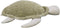 Lorena Canals Wasbare poef - Mrs. Turtle - 20x115x85cm