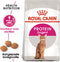 Royal Canin Protein Exigent - Kattenvoer - 400 g