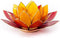 Lotus sfeerlicht 3-kleurig goudrand - 13.5 cm - S