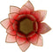 Lotus sfeerlicht rood/roze goudrand - 13.5 cm - S