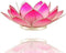 Lotus Sfeerlicht Roze Zilverrand