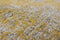 Louis de Poortere Vloerkleed - Generation - Yuzu Cream 8638