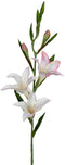 Louis maes - Gladiolus l70cm wit/roze kunstbloem Louis Maes