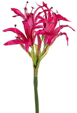 Louis maes - Nerine l65 cm cerise zijde nepbloem