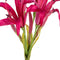Louis maes - Nerine l65 cm cerise zijde nepbloem