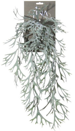 Louis maes - Platycerium hanger l60 cm grijs/groen header zijde ne...
