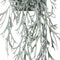 Louis maes - Platycerium hanger l60 cm grijs/groen header zijde ne...