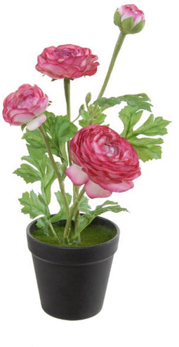 Louis maes - Ranonkel h35 cm p cerise zijde nepbloem