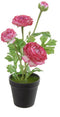 Louis maes - Ranonkel h35 cm p cerise zijde nepbloem