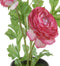 Louis maes - Ranonkel h35 cm p cerise zijde nepbloem