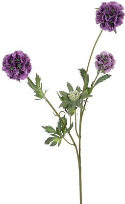 Louis maes - Scabiosa stellata l75cm paars kunstbloem Louis Maes