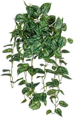 Louis maes - Scindapsus hanger l85 cm groen zijde nepbloem