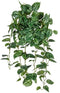 Louis maes - Scindapsus hanger l85 cm groen zijde nepbloem