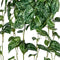Louis maes - Scindapsus hanger l85 cm groen zijde nepbloem