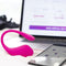Lovense Lush 3.0 - Draagbare Vibrator - Vibrerend Ei - Roze