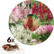 Plant in a Box - Astilbe - Mix van 6 - Pluimspirea - Wortelstokken - Robuuste bloeiende plant