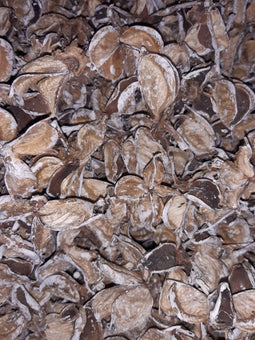Cotton pods white wash 1 schep