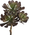 PTMD Aeoniumpluk Succulent Kunstplant - 18 x 15 x 30 cm - Grijs/groen