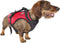 Baltic Zorro Drijfhulpmiddel Voor Huisdieren Rood 10-25 kg