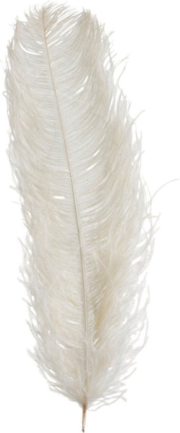 J-Line decoratie struisvogelpluim 1delig - creme
