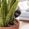 LECHUZA Accessoires - Vochtmeter