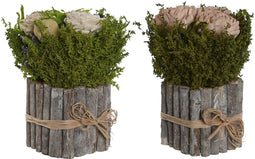 Decoratieve plant Home ESPRIT Bloem 18 x 18 x 24 cm (2 Stuks)