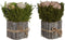 Decoratieve plant Home ESPRIT Bloem 18 x 18 x 24 cm (2 Stuks)