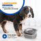 Vulpes Goods® Drinkbak Hond - Anti-knoei Waterbak - 2 Liter Capaciteit - Transparant