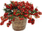 Plant in a Box - Gaultheria mucronata - Rode Pernettya in Mand - Parelbes - Winterharde groenblijvende plant - Pot 17cm - Hoogte 25-40cm