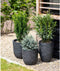 Capi Europe - Bloempot bol Row NL - 35x34 - Antraciet - Opening Ø29 - Bloempot voor binnen en buiten - Levenslang garantie - Breukbestendig - 100% Recyclebaar - CO2 Neutraal geproduceerd - KRWZ932