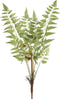 PTMD Fern Plant Varen Prikker - 55 x 34 x 68 cm - Groen