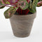 Mica Decorations Cyclaam Kunstplant in Bloempot Stan - H30 x Ø30 cm - Donkerroze