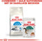 Royal Canin Indoor 7+ - Kattenvoer - 3.5 kg