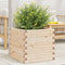 vidaXL - Plantenbak - 50x50x46 - cm - massief - grenenhout