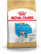 Royal Canin French Bulldog Junior 3 KG