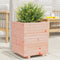 vidaXL - Plantenbak - 40x40x49,5 - cm - massief - douglashout