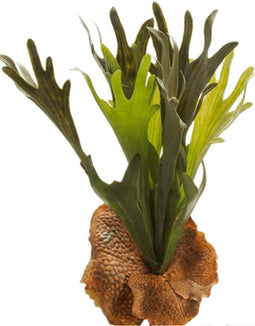 Hertshoorn varen 38 cm kunstbloem zijde nepbloem