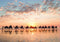 Zonsondergang op Cable Beach, Australië (1000 stukjes)