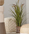 Emerald - Kunstplant Kattenstaart Gras kort 100cm - Kunstplanten voor binnen