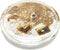 PopSockets PopGrip - Tidepool Good Luck Charm