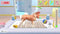Microids My Universe - Pet Clinic Cats & Dogs - Panda Edition - Nintendo Switch