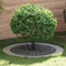 vidaXL - Plantenring - Ø90/120 - cm - Gegalvaniseerd - Staal